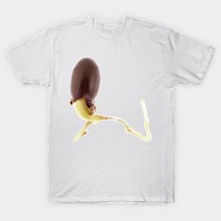 Sprouting seed of Lychee (Litchi chinensis) T-Shirt